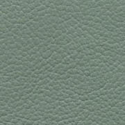 Caprone 0993 