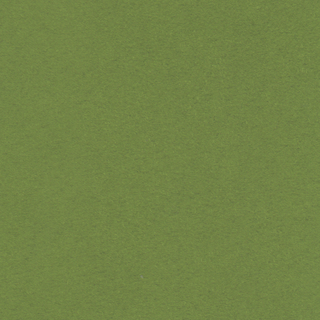 PS kiwi 