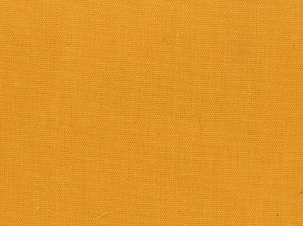 Pebbletex Daffodill 